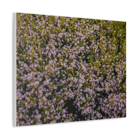 "Fleurs du Souvenir" (Flowers of Remembrance, French-inspired charm)