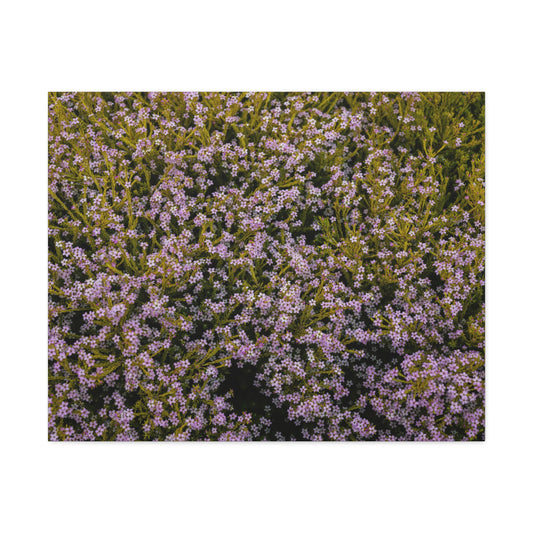 "Fleurs du Souvenir" (Flowers of Remembrance, French-inspired charm)