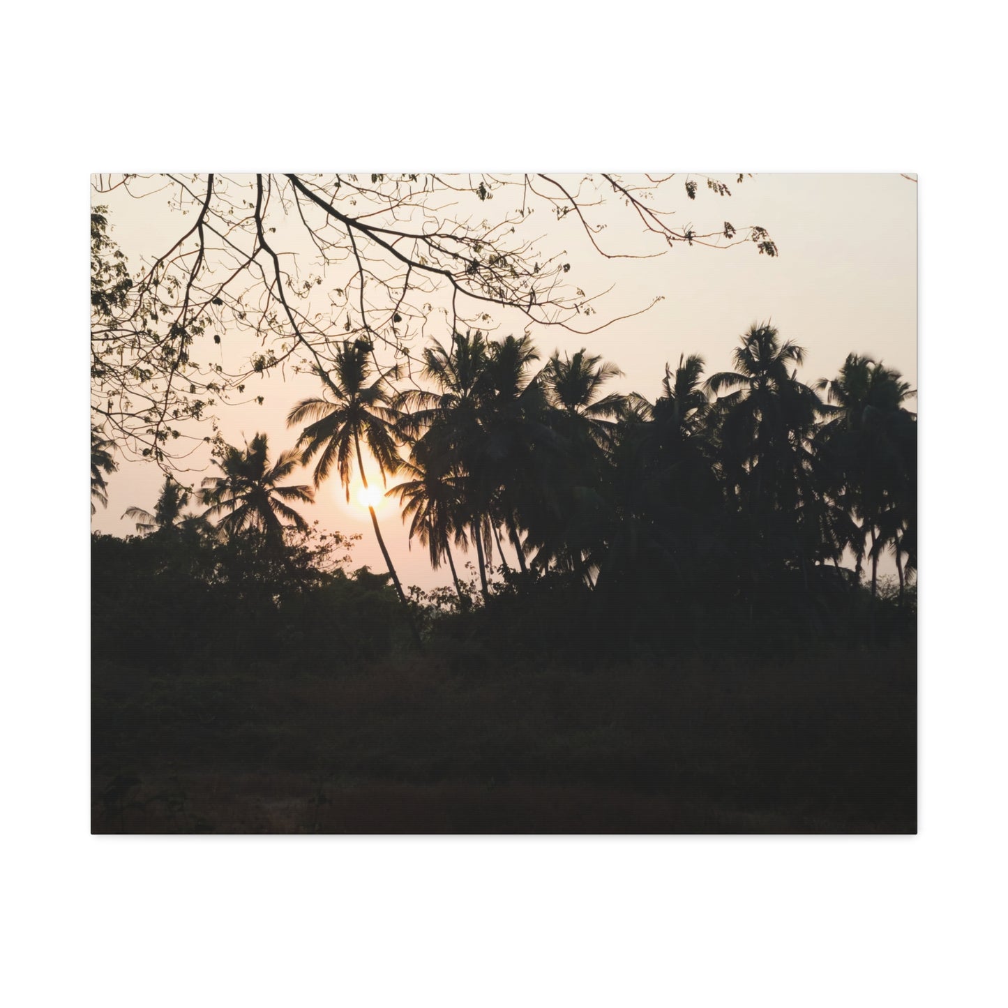 The Golden Hour