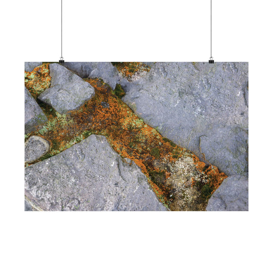 Satin Posters - Nature Abstract Design (210gsm)