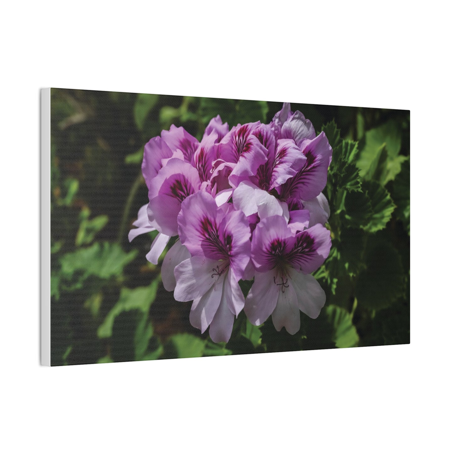 Pink Geranium Floral Canvas Print — Stretched Wall Art