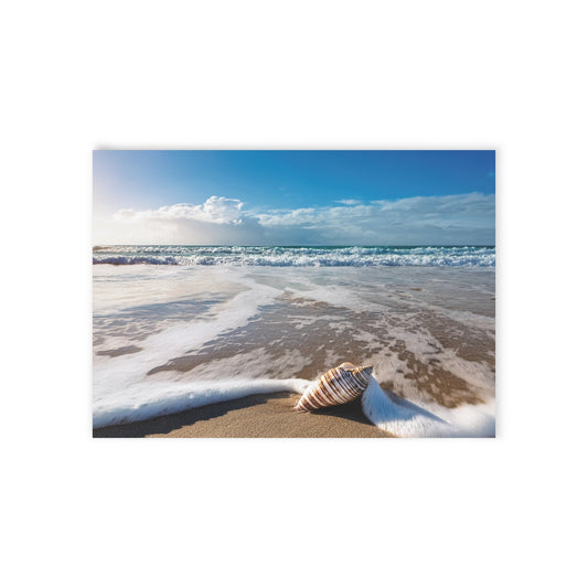 Holiday Cards - Echoes in the Foam – The Conch’s Whisper