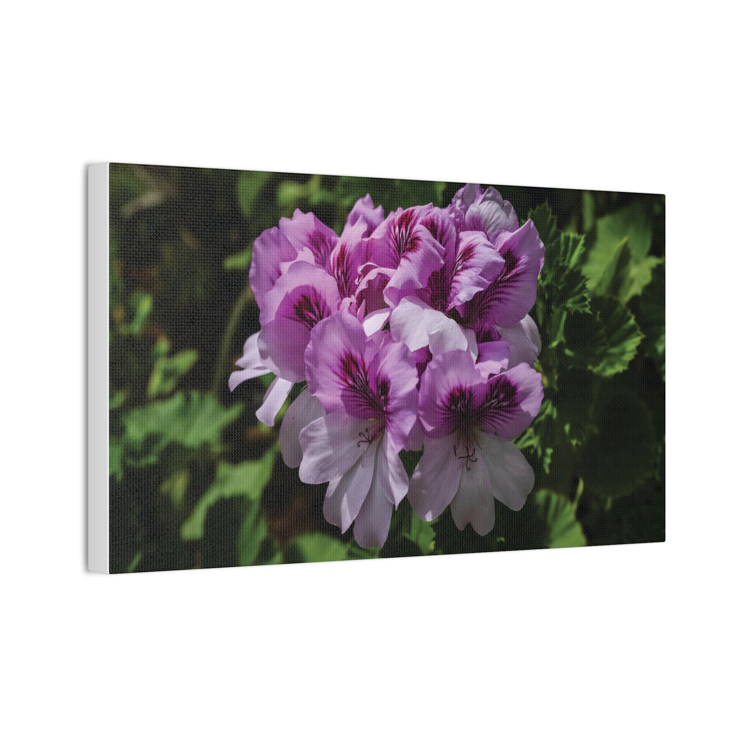 Pink Geranium Floral Canvas Print — Stretched Wall Art